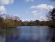 Longmoor Lake at California Country Park geograph.org.uk 722760